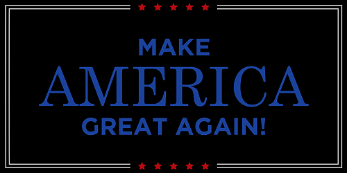 Make America Great Again: Trump, Kamala Harris, and America’s Future Explained.