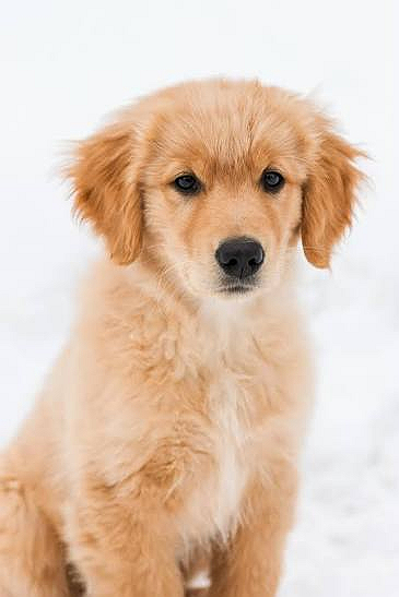 I cant wait to have you