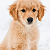 Post: I cant wait to have you