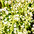 Post: #wallpaper