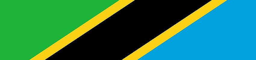 Tanzania Networking Hub